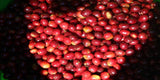 Washed Guji Raro Boda Grade 1