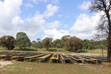 Washed Limmu Gera Grade 2