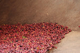 Washed Guji Raro Boda Grade 2